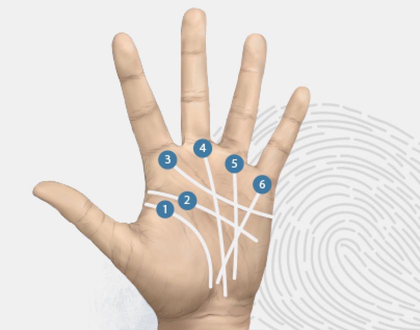 Dłoń człowieka - jakie ciekawostki w sobie skrywa?