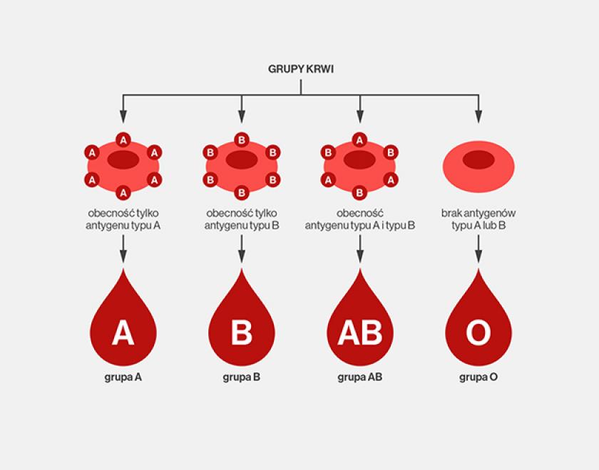 Dziedziczenie grupy krwi